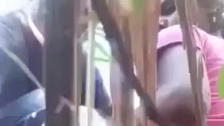 Bercinta Liar Di Ladang Tebu, Pasangan Kampung Mainin Sampai Basah Kuyup