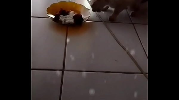 Anita Siap Digoyang, Badan Basah Keringat, Minta Digebukin.