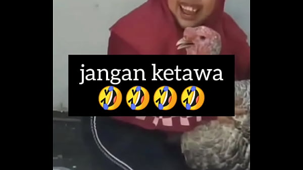 Gadis Gendut Ngakak Sambil Ngeloyor Nafsu Bejat.